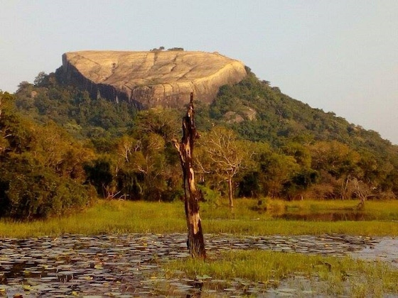 Gallery - Sigiriya Vee Guest