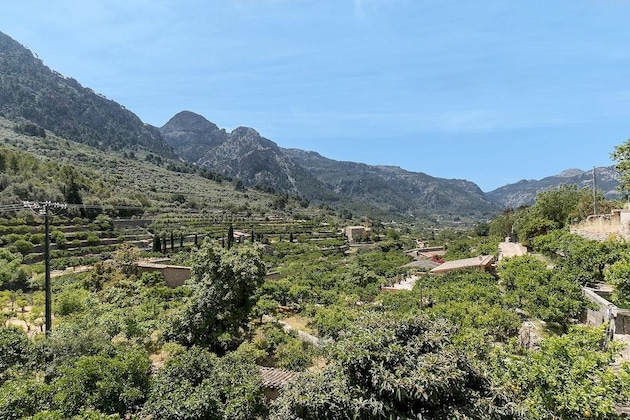 Gallery - Villa Cas Decu