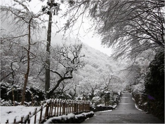 Gallery - Okuyugawara Onsen Tsubaki