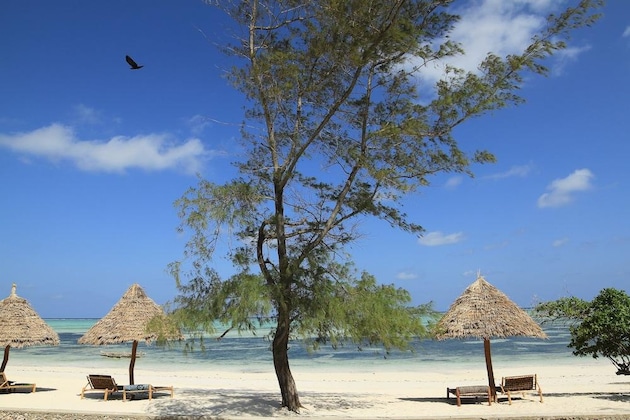 Gallery - Ujamaa Beach Resort Zanzibar