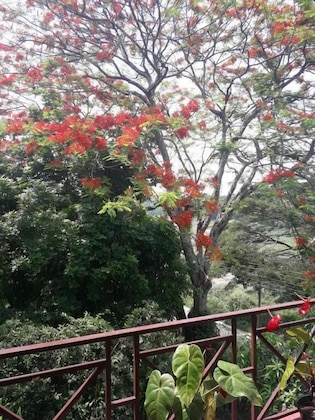 Gallery - Riverine Cascade