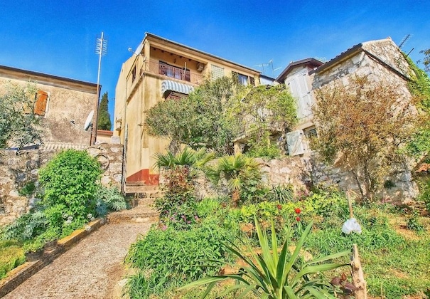 Gallery - Apartments Danica 271