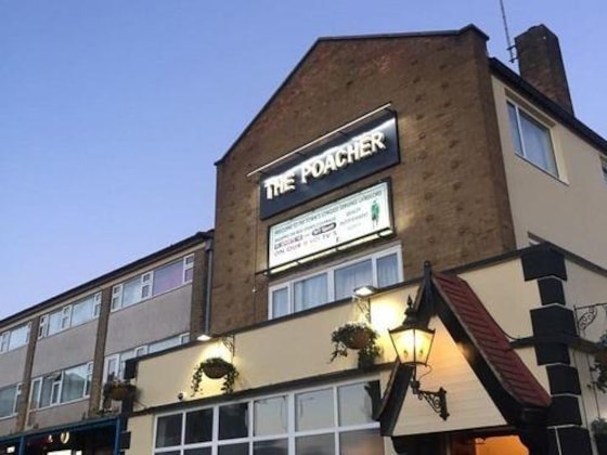 Gallery - The Poacher