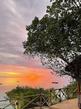 Gallery - The Island - Pongwe Lodge - Adults Only