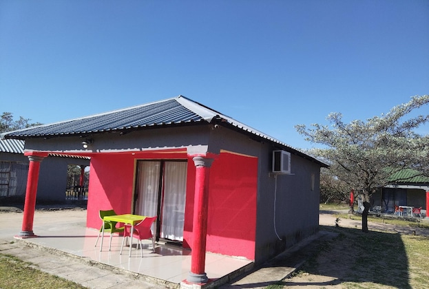 Gallery - Moholoholo Lodge