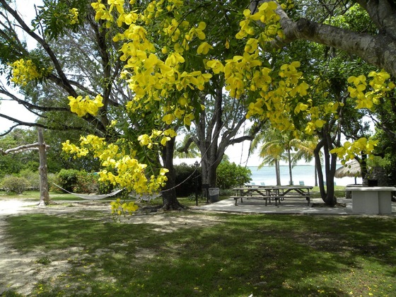Gallery - Rock Reef Resort