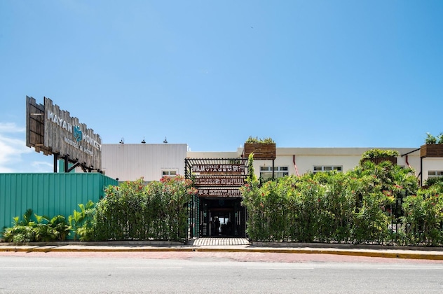 Gallery - Mayan Monkey Hotel & Hostel Cancun
