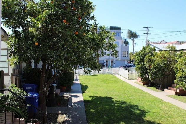 Gallery - Orange Tree Cottages Downtown