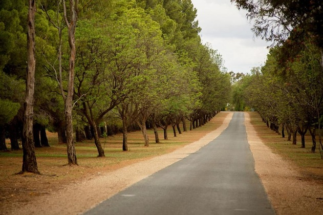 Gallery - Renmark Country Club