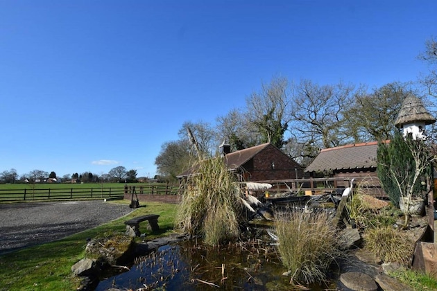 Gallery - Oak Tree Stables