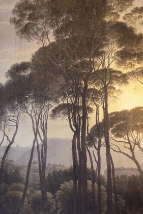 Gallery - L'anderenis