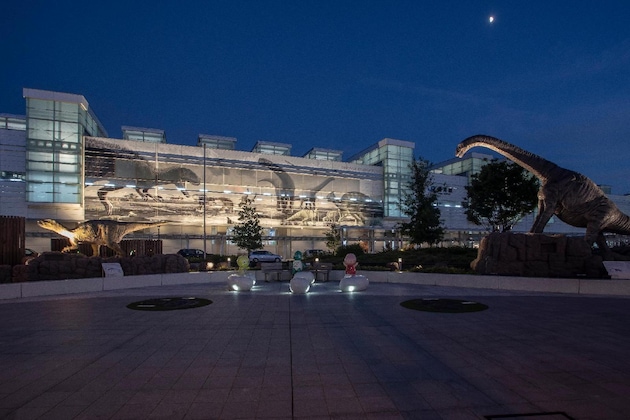 Gallery - Dormy Inn Fukui Natural Hot Springs