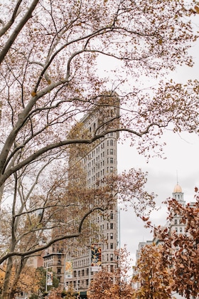 Gallery - Hyatt Place New York   Chelsea