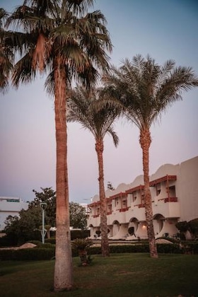 Gallery - Naama Bay Promenade Beach Resort (Beach Side)