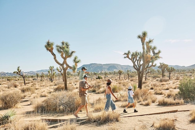 Gallery - Autocamp Joshua Tree