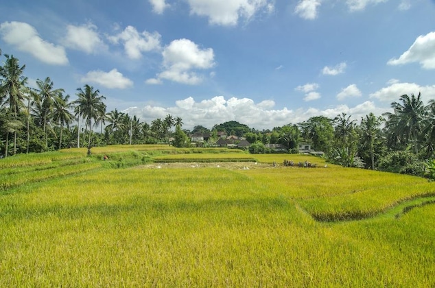 Gallery - Danakha Villa Ubud