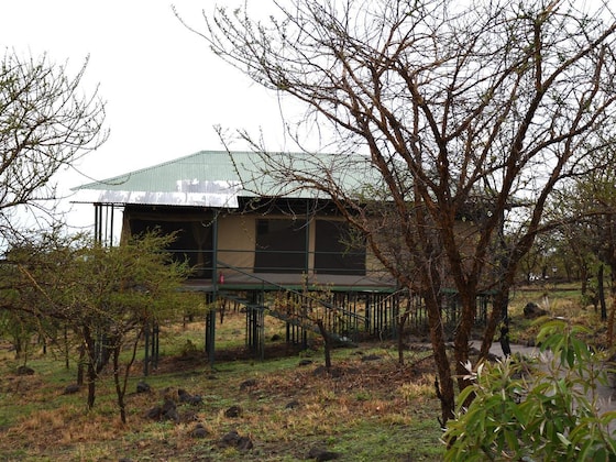 Gallery - Ngorongoro Wild Camp