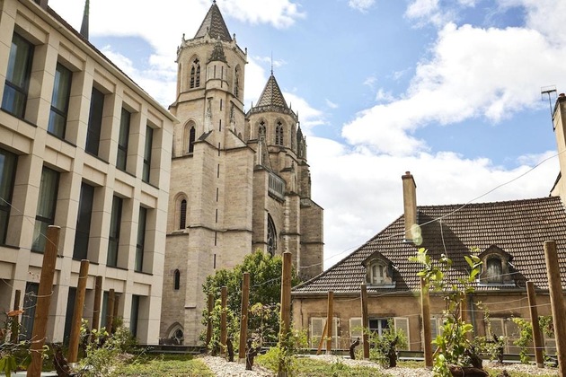 Gallery - Mama Shelter Dijon