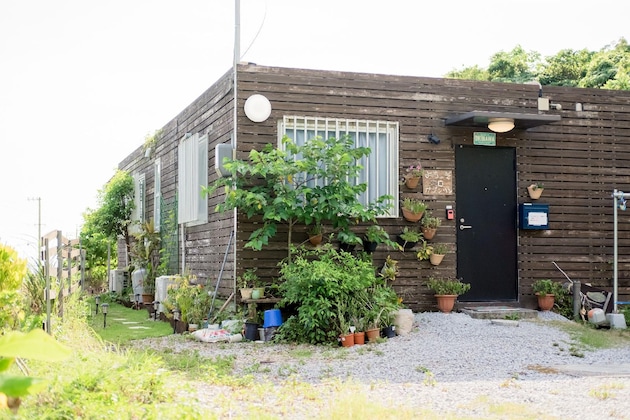 Gallery - Yellowsubmarineokinawa