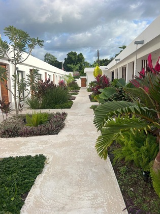 Gallery - Illa Cozumel
