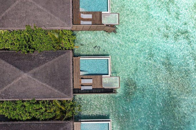 Gallery - Dusitd2 Feydhoo Maldives