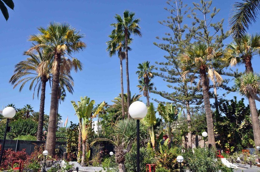 San Valentin & Terraflor park, Playa del Inglés à partir ...