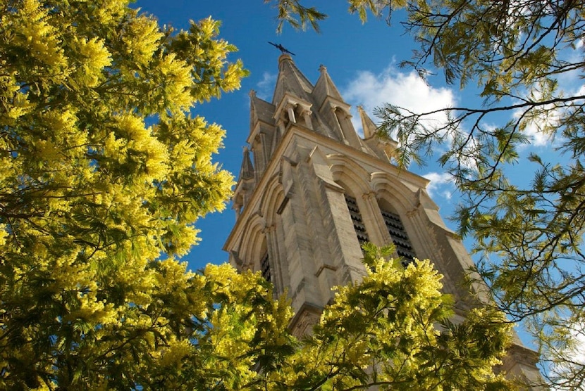 Crowne Plaza Montpellier Corum, Montpellier