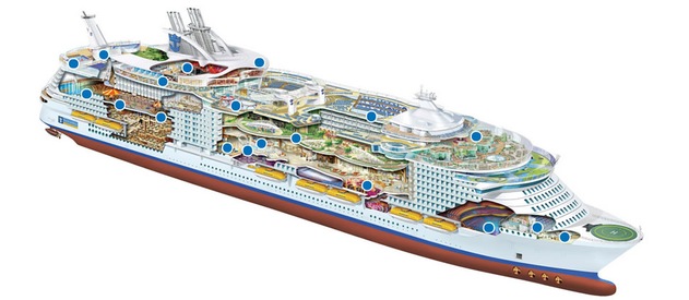 Profil des ponts du Oasis of the Seas