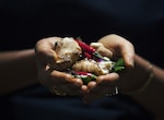 Gastronomie à bord