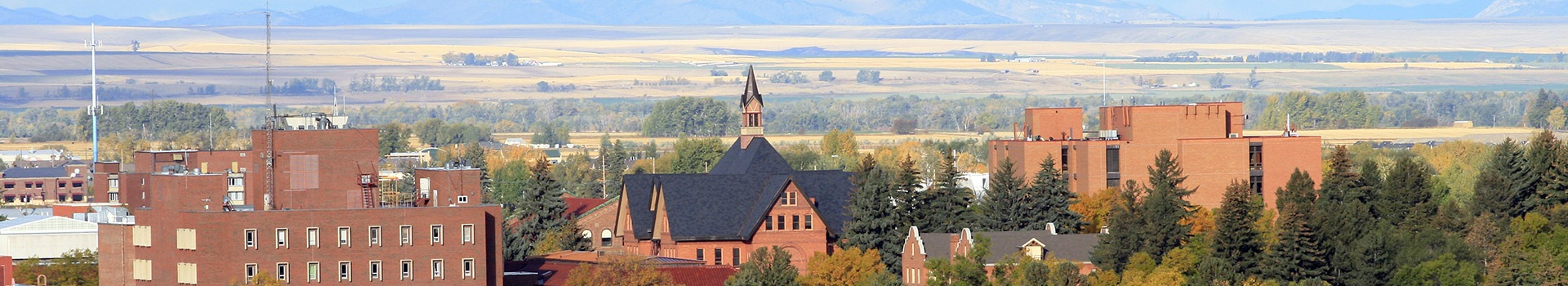 Gallatin Field