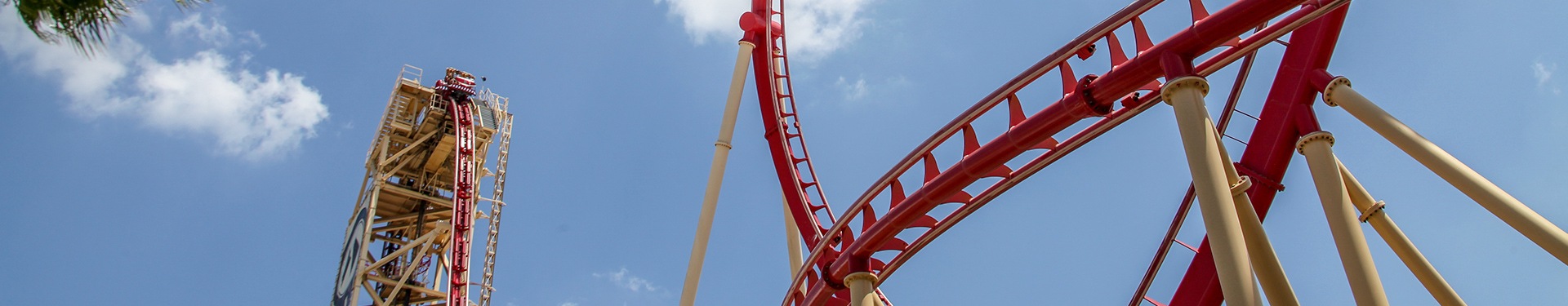 New York, Walt Disney World Orlando et Punta Cana