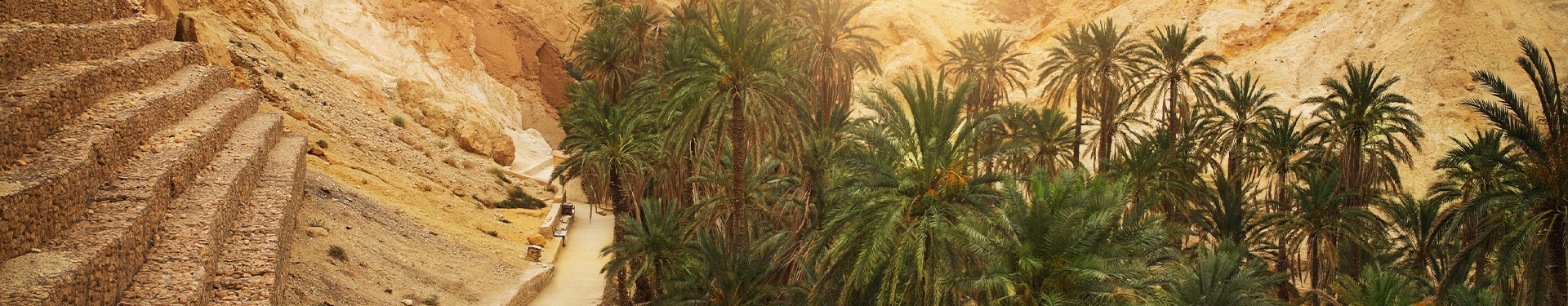 Route entre Oasis, Mer et Dunes