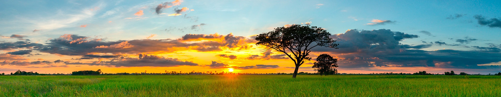 Masai Mara, Naivasha et Amboseli avec Zanzibar