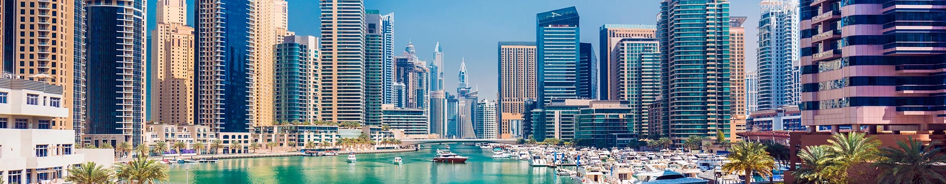 Dubaï, Tokyo et Maldives