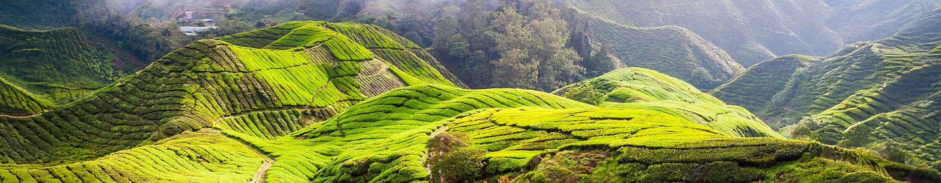 Malaisie péninsulaire et Langkawi