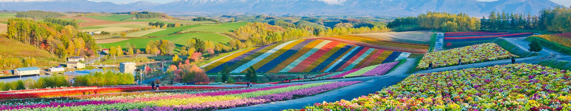 Route d'Hokkaido