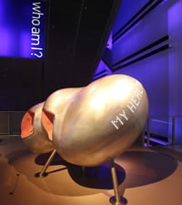 Musée de la Science