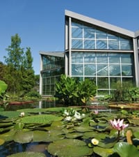 Jardin Botanique
