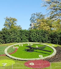 Horloge de Fleurs