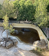 Jardin Zoologique
