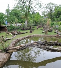 Jardins Zoologiques