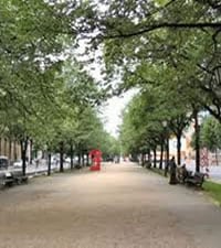 Unter den Linden