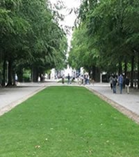 Parc de Bruxelles