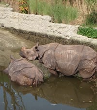 Zoo de Basel