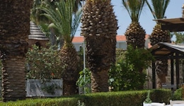 Sandy Beach Hotel & Spa - Ex Sentido