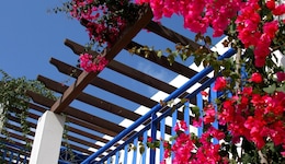 Aliathon Aegean