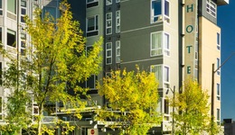 Staypineapple, Watertown, University District Seattle