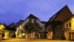 Hotel & Spa A La Cour D'alsace By Happyculture