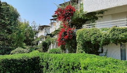 Apollonia Beach Resort & Spa
