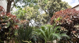 Nava Suites